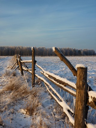 Fence (StoneVGU)