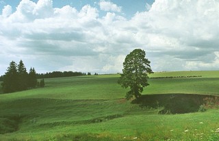 Окресности города (Мартюшев Павел)