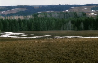 Апрель (Мартюшев Павел)