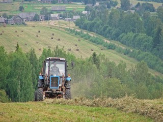Haying (svyatoslav)