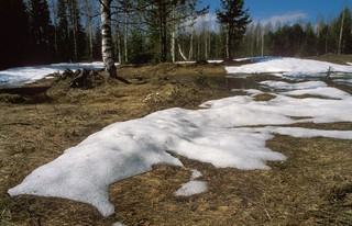 Май, последний снег (Мартюшев Павел)