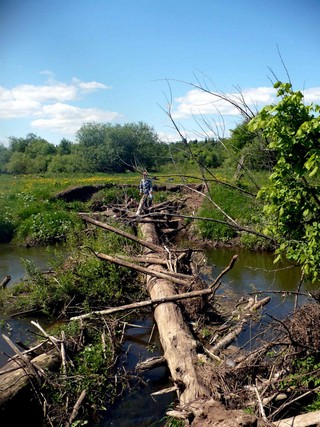 Переправа через Вотку (vjiki)