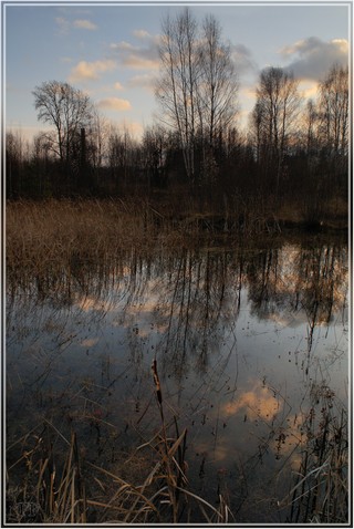 На ближнем болоте (Феликс Цешнатий)