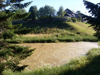 Водоёмчик на улице Коммуны (Роман Кобелев)