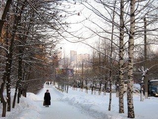 Улица Лепсе (Дмитрий Зонов)