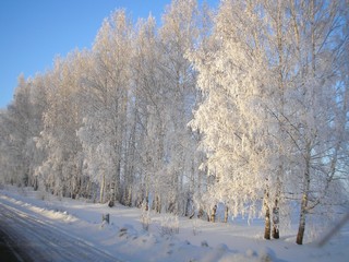 сибирский тракт (sansanych)