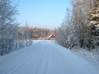 У д.Цепели (Дмитрий Зонов)