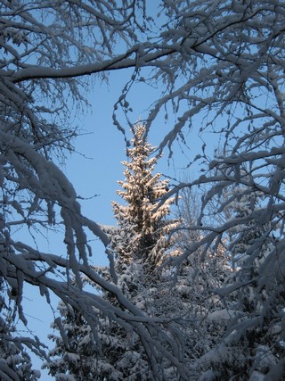 Вершина в декабрьской рамке (Дмитрий Зонов)
