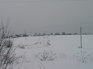 Вид на д. Вахруши (androgen)