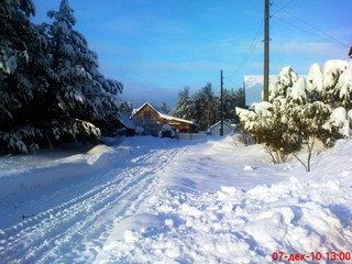 Борок Удмуртия (Пивторак Николай Иванович)