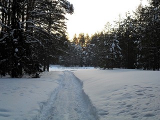 Январь 2011 (Александр Ложкин)