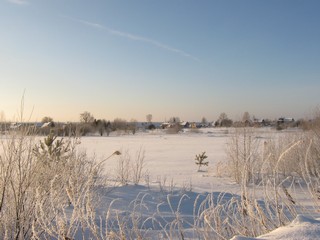 Январские Глушонки (Дмитрий Зонов)