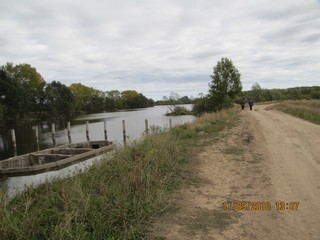 у д. Черкасово (спутник)