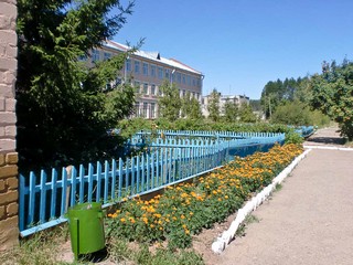 новый техникум - new college building - July 2010 (Peter Yankov)