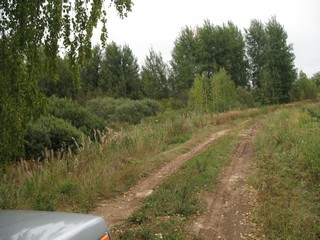 дорога Мурино  -  Кушкалово (Slaviantus)