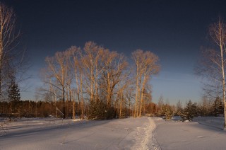 На блоки. (Феликс Цешнатий)