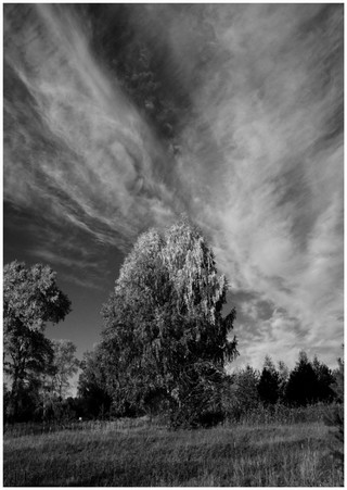 Осень на макушках.. (Феликс Цешнатий)