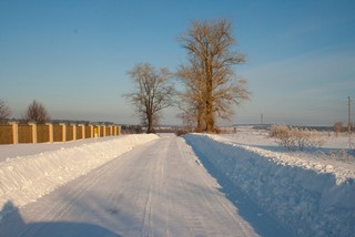 Выезд из д. Подберёзы, тополя (Юрий Зыкин)