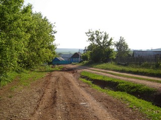 Дорога в Пойкино (Илья Кетов)