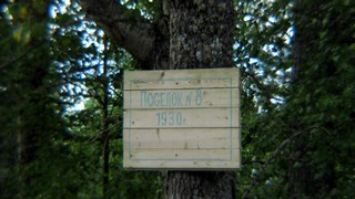 указатель (amignat0061@gmail.com)