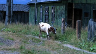 а где люди? (amignat0061@gmail.com)