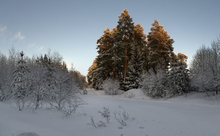 Золотые купола. (Ольга Цешнатий)