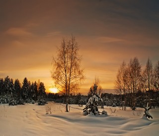 Золото заката (Ольга Цешнатий)