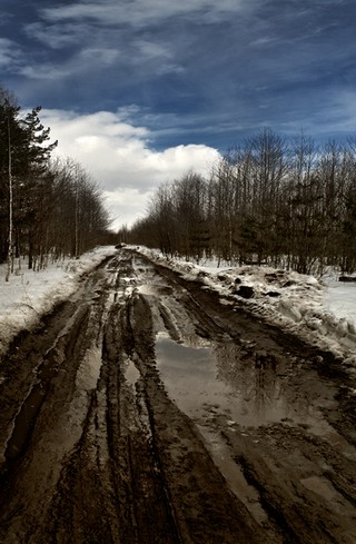 Вторая русская беда.. (Ольга Цешнатий)