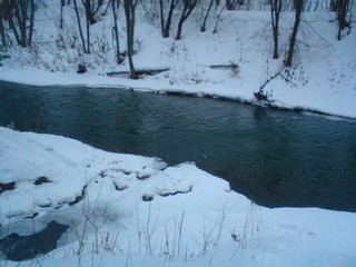 Тоима (jiviends)