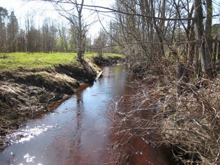 р. Шуйка (Alexandr Nikolaev)