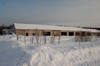 Фатеево, заброшенная ферма (Юрий Зыкин)