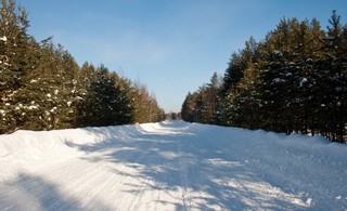 Дорога Каринторф-Слободской (Юрий Зыкин)