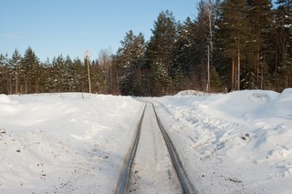 Переезд с узкоколейной железной дорогой (Юрий Зыкин)