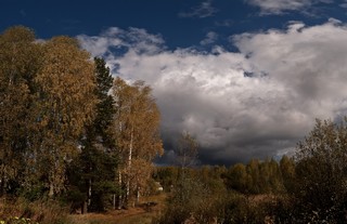 За блоками. (Феликс Цешнатий)