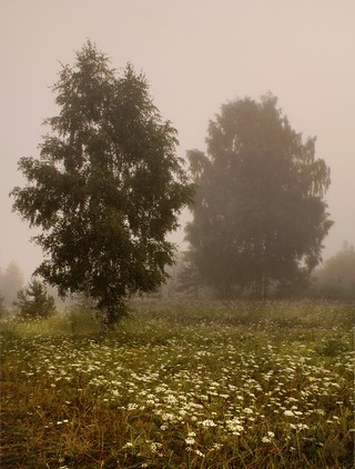 Без ёжика.. (Феликс Цешнатий)