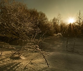 За водоочистными. (Феликс Цешнатий)