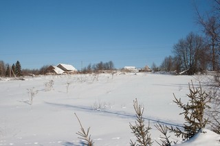 Крысановы (Юрий Зыкин)