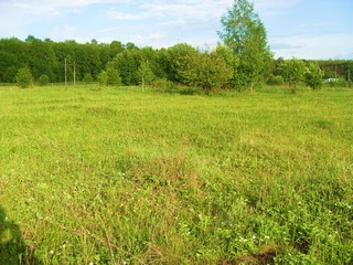 Луг (Alex Bagimov)