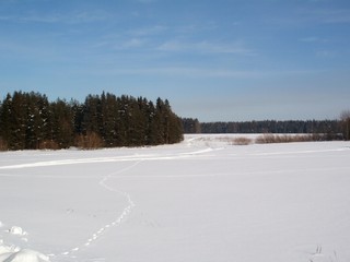 Февральский пейзаж (Дмитрий Зонов)