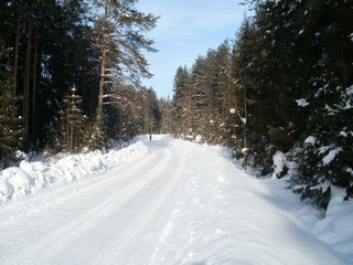 Дорога Боровица-Волково (Дмитрий Зонов)