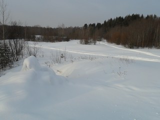 у реки Просница (23 01 11) (Александр Ложкин)