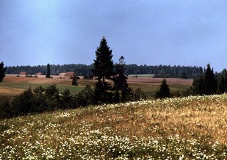 Долина реки Кичу, 1979 г. (Rashit Zagidoullin)