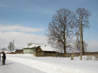 Вековая липа в Булдаках (Дмитрий Зонов)