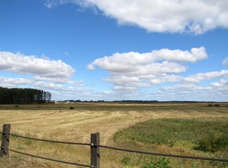 Вдоль трассы. (WERMUT)