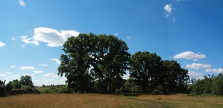 Дорога на Маслозавод (A.Loginov)