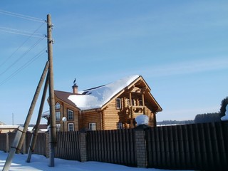 Журавль на крыше (Дмитрий Зонов)