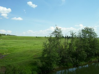 Берег р. Немда в районе деревни Семеево (natalia.pereskokova)