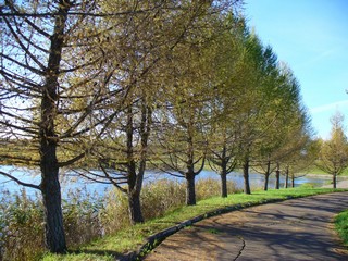 Каркино (sash_ok)