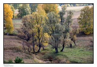 С камских гор (Andrei Kiryanov)