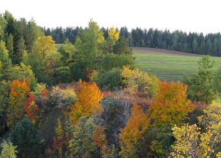 Красочная осень на берегу Камы (Eugene Sky)